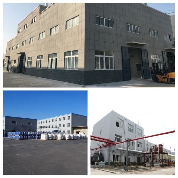 중국 Shandong Jiuchong Chemical Co., Ltd. 회사 프로필
