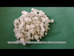 바다 소금 산업 소금